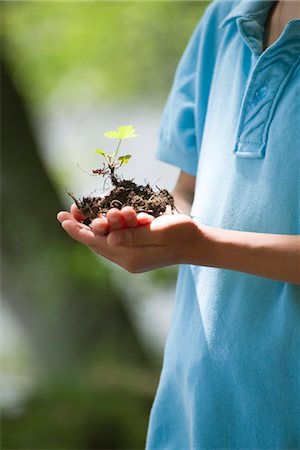 earth day - Boy holding seedling, cropped Stock Photo - Premium Royalty-Free, Code: 632-05759816