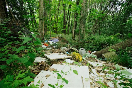 Déchets déversés dans les bois Photographie de stock - Premium Libres de Droits, Code: 632-05760156