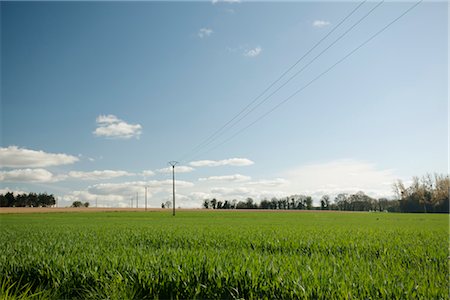 power line - Countryside, Guilliers, Brittany, France Stock Photo - Premium Royalty-Free, Code: 632-05760579