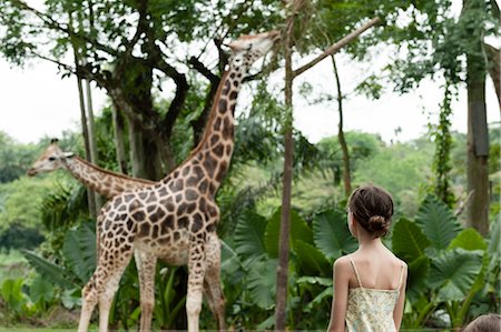 people with animals - Girl watching giraffes at zoo Stock Photo - Premium Royalty-Free, Code: 632-06029291
