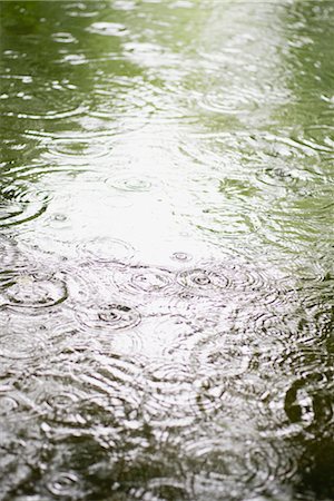 rain drops - Raindrops on surface of water Foto de stock - Sin royalties Premium, Código: 632-06030079