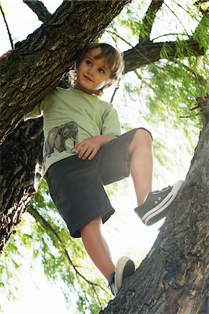 Boy standing in tree, low angle view Stock Photo - Premium Royalty-Free, Code: 632-06118761