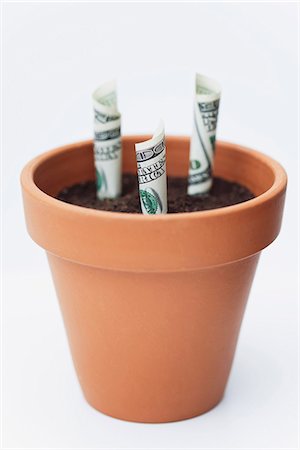 start growing plant - One-hundred dollar bills planted in flower pot Stock Photo - Premium Royalty-Free, Code: 632-06317135