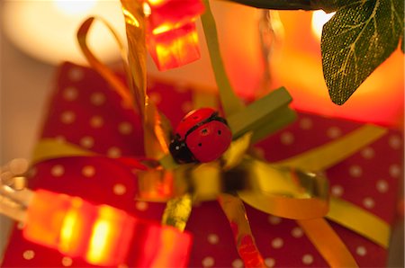 simsearch:632-05991504,k - Christmas present decorated with ladybug Stock Photo - Premium Royalty-Free, Code: 632-06354355