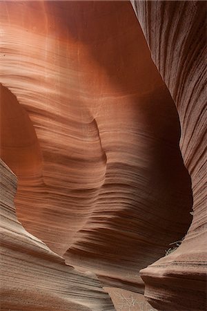 swirling rock formation - Beautifully swirled sandstone walls in Rattlesnake Canyon, Arizona, USA Stock Photo - Premium Royalty-Free, Code: 632-08331448