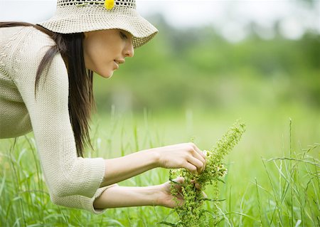field of herb - Young woman picking flowers Stock Photo - Premium Royalty-Free, Code: 632-01154437