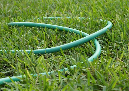 Garden hose lying in grass Stock Photo - Premium Royalty-Free, Code: 632-01161452