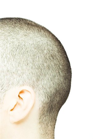 Back of man's shaved head, side view Stock Photo - Premium Royalty-Free, Code: 632-01276660