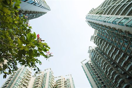 China, Guangdong Province, Guangzhou, high rises and tree in blossom, low angle view Stock Photo - Premium Royalty-Free, Code: 632-01637855