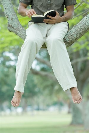 dangling - Man sitting in tree reading book with legs dangling, cropped view Stock Photo - Premium Royalty-Free, Code: 632-01785165