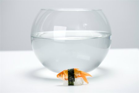 Goldfish prepared as nigiri sushi placed in front of empty fishbowl Stock Photo - Premium Royalty-Free, Code: 632-02282719