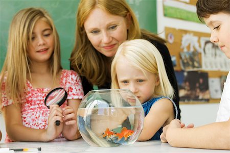 elementary school - Elementary teacher and students gathered around goldfish bowl Stock Photo - Premium Royalty-Free, Code: 632-03193673