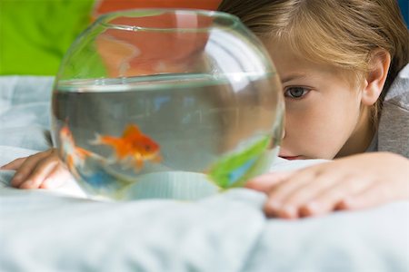 Child watching goldfish swim in fishbowl Stock Photo - Premium Royalty-Free, Code: 632-03424234