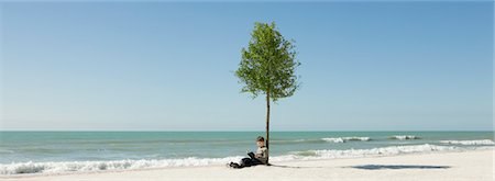 simsearch:632-03500607,k - Boy reading book under tree growing on beach Stock Photo - Premium Royalty-Free, Code: 632-03500742