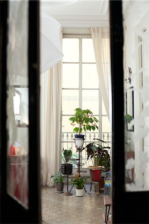 french door window - Potted house plants viewed through doorway Stock Photo - Premium Royalty-Free, Code: 632-03847693