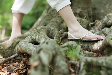 simsearch:649-06432787,k - Woman wearing sandals walking on roots of tree, low section Stock Photo - Premium Royalty-Free, Code: 633-05401407