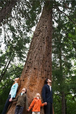 Family standing together at base of tall tree, holding hands Stock Photo - Premium Royalty-Free, Code: 633-05401946