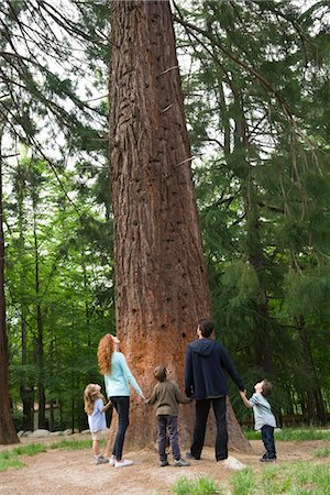 environmentally - Family standing together at base of tall tree, holding hands, rear view Stock Photo - Premium Royalty-Free, Code: 633-05402040