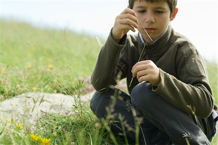 simsearch:633-05401710,k - Boy looking at ladybug crawling on twig Stock Photo - Premium Royalty-Free, Code: 633-05402102