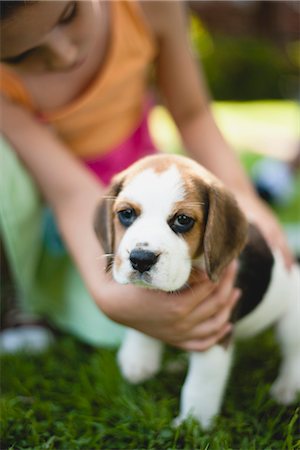 pat - Girl petting beagle puppy Stock Photo - Premium Royalty-Free, Code: 633-06322690