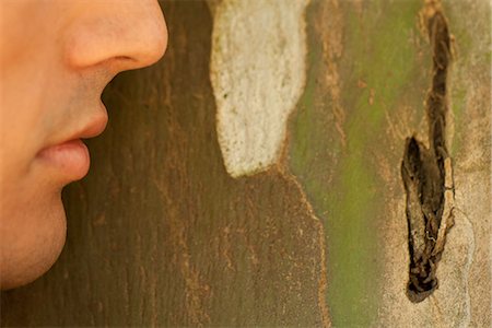 Man's face leaning against tree bark Foto de stock - Sin royalties Premium, Código: 633-06406712