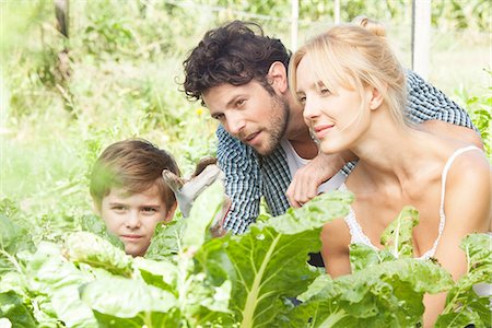 farm and boys - Family gardening together Stock Photo - Premium Royalty-Free, Code: 633-08150732