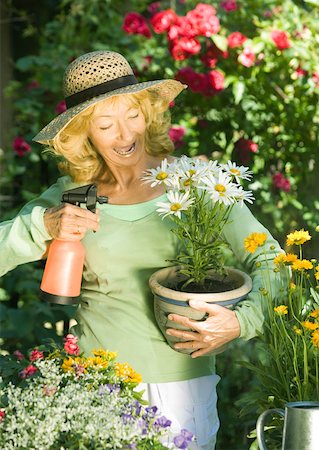 Senior woman holding pot of flowers Stock Photo - Premium Royalty-Free, Code: 633-01274111