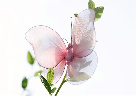 simsearch:700-01538773,k - Fake butterfly Stock Photo - Premium Royalty-Free, Code: 633-01272754