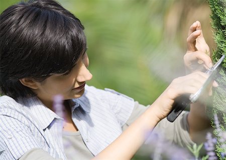 pruning shears - Woman doing yardwork Stock Photo - Premium Royalty-Free, Code: 633-01272890