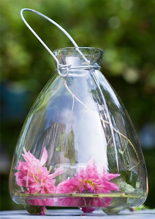 decorative iron - Flowers in lantern Stock Photo - Premium Royalty-Free, Code: 633-01273458