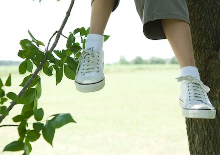 Child sitting in tree, cropped view, knee down Stock Photo - Premium Royalty-Free, Code: 633-01273989