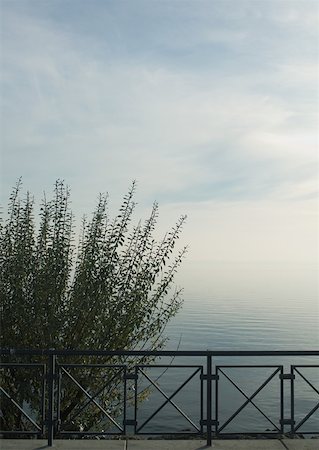 decorative iron - Guardrail and bush overlooking body of water Stock Photo - Premium Royalty-Free, Code: 633-01573200