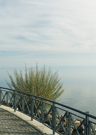 decorative iron - Guardrail and bush overlooking body of water Stock Photo - Premium Royalty-Free, Code: 633-01573202