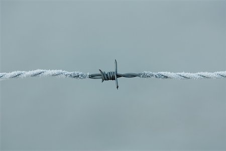 simsearch:633-01272536,k - Frost covered barbed wire Stock Photo - Premium Royalty-Free, Code: 633-01573322