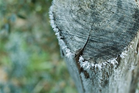 Frost on wooden post Stock Photo - Premium Royalty-Free, Code: 633-01573342