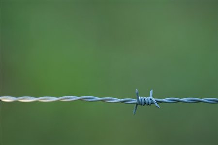 simsearch:633-01272536,k - Barbed wire, close-up Stock Photo - Premium Royalty-Free, Code: 633-01573403