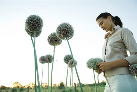 simsearch:633-01574151,k - Woman standing with allium flowers Stock Photo - Premium Royalty-Free, Code: 633-01573578