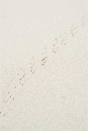 simsearch:633-01715488,k - Track on sand, full frame Stock Photo - Premium Royalty-Free, Code: 633-01715465