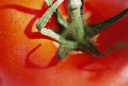 simsearch:633-01272536,k - Tomato, extreme close-up Stock Photo - Premium Royalty-Free, Code: 633-01713995