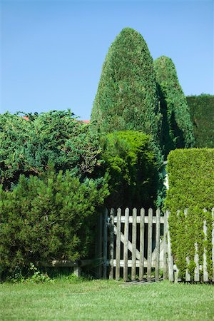 Hedge and wooden fence Stock Photo - Premium Royalty-Free, Code: 633-02417672