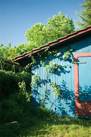 exterior color for house in the forest - Brightly painted wooden cabin Stock Photo - Premium Royalty-Free, Code: 633-02417689