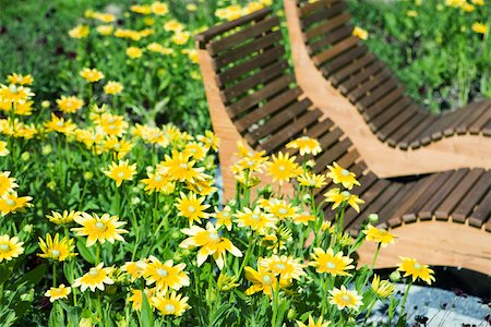 Yellow flowers, wooden deckchairs in background Stock Photo - Premium Royalty-Free, Code: 633-02417710