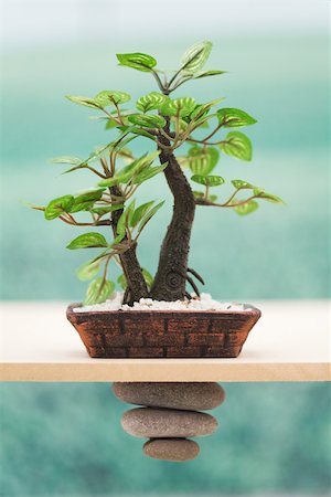 Potted plant set on wood railing with small stones stacked inversely from beneath rail, close-up Stock Photo - Premium Royalty-Free, Code: 633-02417740