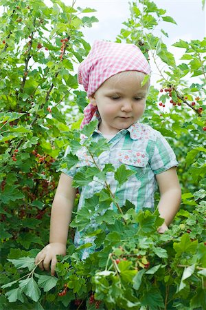 Petite fille debout dans la brousse de groseilles rouges Photographie de stock - Premium Libres de Droits, Code: 633-02417986