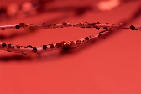 simsearch:633-02418107,k - Branches decorated with red sequins, close-up Stock Photo - Premium Royalty-Free, Code: 633-02418057