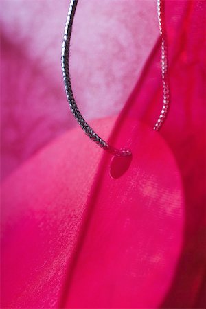 fuchsia colour - Gift tag, extreme close-up Stock Photo - Premium Royalty-Free, Code: 633-02418111