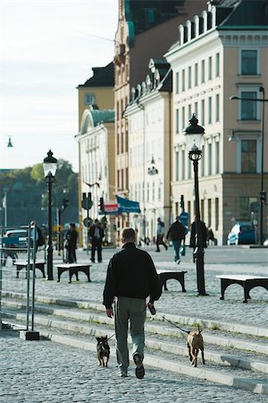 stockholm - Sweden, Stockholm, man walking dogs on cobblestone steps Stock Photo - Premium Royalty-Free, Code: 633-02691359