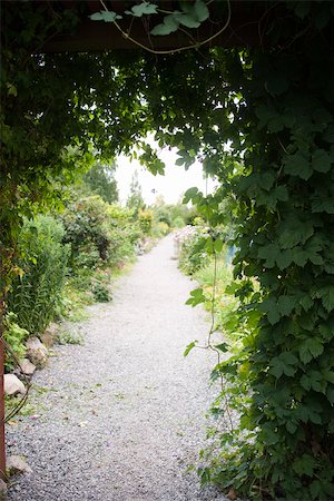 Vine draped trellis spanning garden path Stock Photo - Premium Royalty-Free, Code: 633-03444841