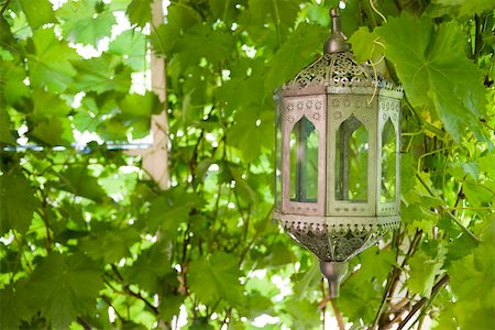 Moroccan lantern against background of lush foliage Stock Photo - Premium Royalty-Free, Code: 633-03444875