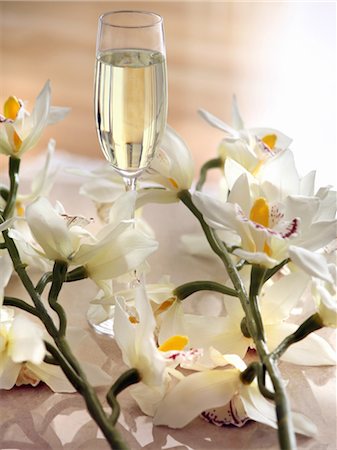 flowers greece - Glass of champagne surrounded by flowers Stock Photo - Premium Royalty-Free, Code: 644-01436566